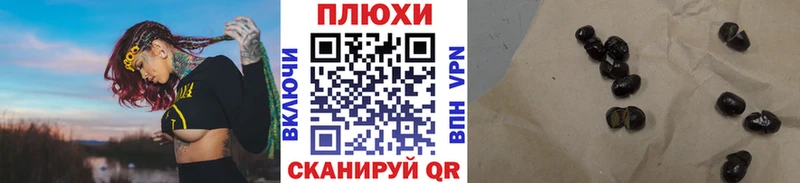 ГАШ Premium  Ступино 